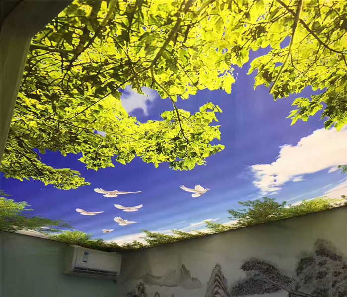 天幕屏